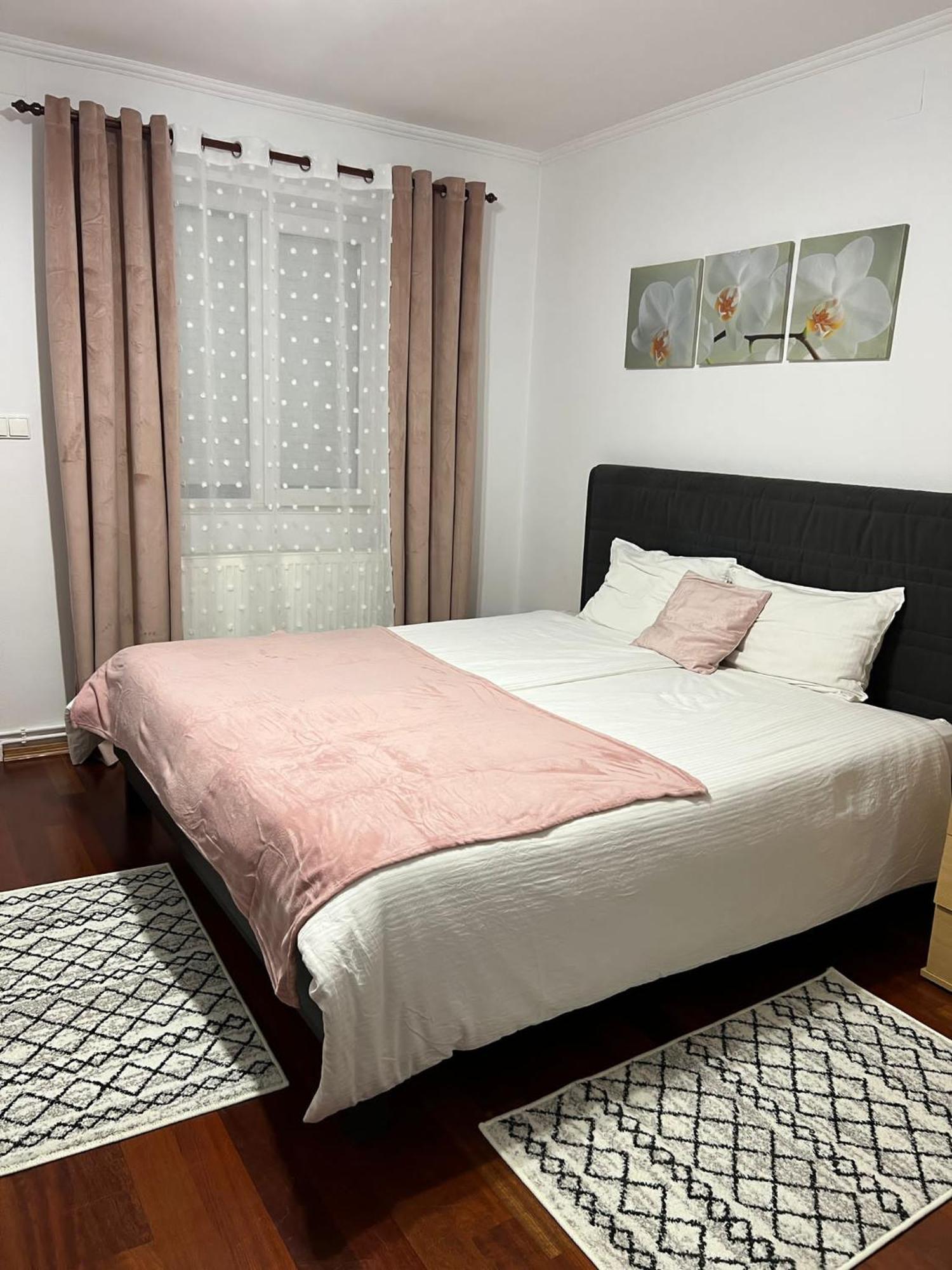 Casa Hoban Leilighet Baia Mare Rom bilde